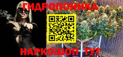 кокс Дубна