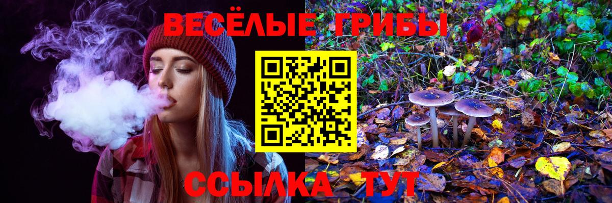 Михайловка  Галлюциногенные грибы мухоморы  Вход с VPN 