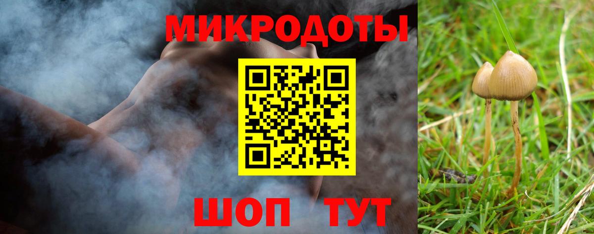 Галлюциногенные грибы ЛСД Михайловка